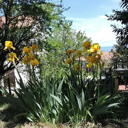 Apartma Sandra
